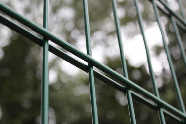 Powder Coated Twin Wire  Fencing Use For Sports Fencing 8/6/8